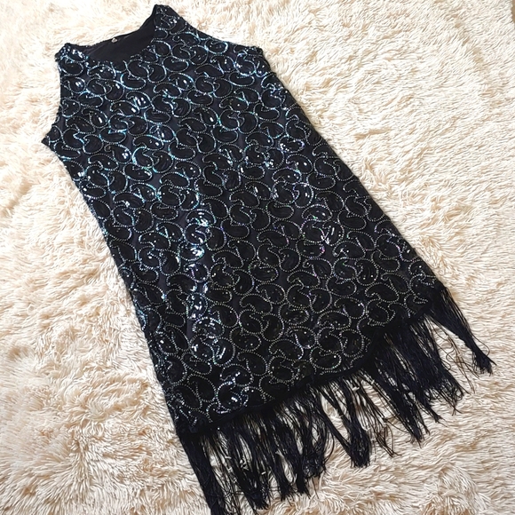 🥂Vintage 12/14, Flapper Sequin Fringe Dress - Picture 3 of 7
